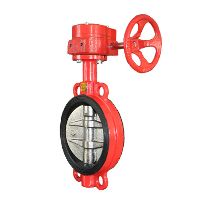 XD371X5-16������̖���A���y